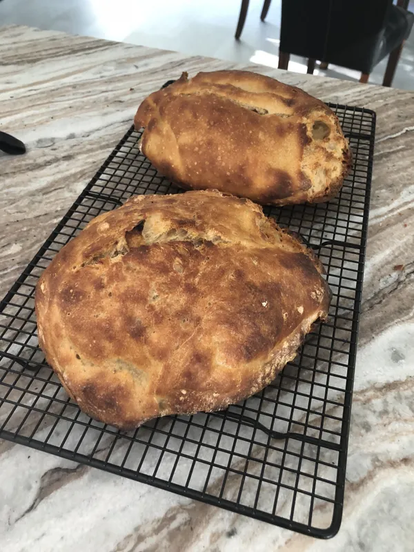 img of No Knead Artisan Bread