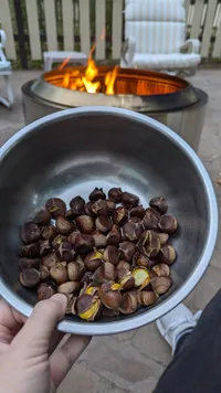 img of Sweet Potato Coconut Milk Stew